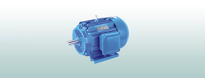 YE2系列高效三相异步电动机