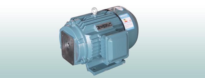 油泵专用三相异步电动机