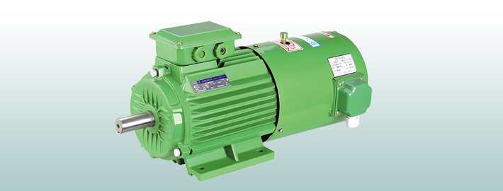 YEJVF 系列变频调速电磁制动电动机