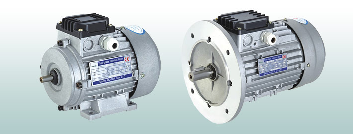 MS 系列铝壳三相异步电动机