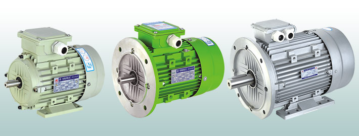Y2 系列铝壳三相异步电动机